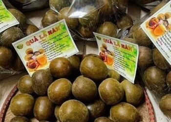 QUẢ LA HÁN KHÔ được gọi là THẦN DƯỢC , giúp đẩy lùi và ngừa đc bao nhiêu là bệnh...