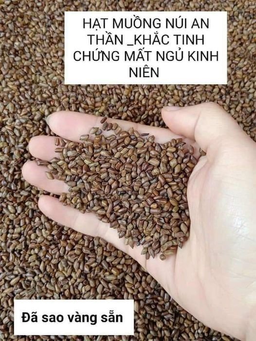 Hạt Muồng núi dành cho những ai mất ngủ
uống ngon rất thơm k đắng
Công dụng củ...