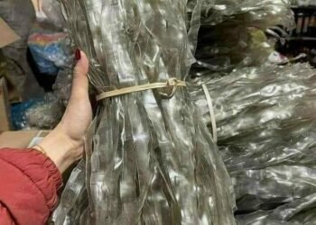 “Chưa từng được ăn loại miến nào mà lại ngon như miến này” đây là câu nói của kh...