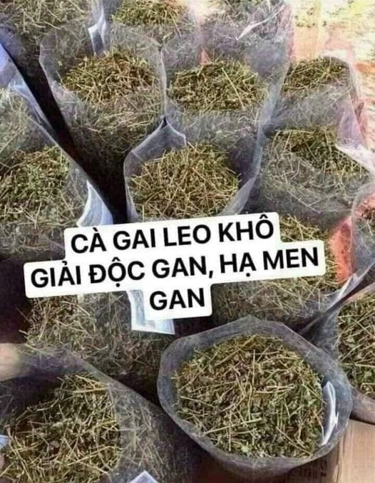 . Cà gai leo phơi khô sạch sẽ ak
Vào mùa thu hoạch rồi. Mỗi người mua 1kg ủng hộ...