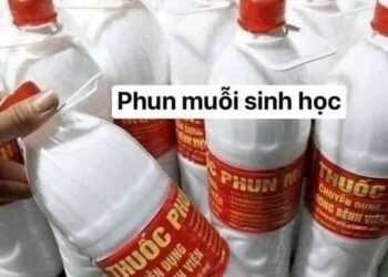THUỐC PHUN MUỖI SINH HỌC CỦA BỆNH VIỆN
Ai ko tin thì pha vào nước lau nhà thử sẽ...