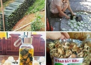 Bí đao sấy khô
 Không lẫn tạp chất, không chất bảo quản
 Công dụng: 
 Thanh nhiệ...
