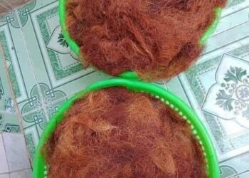 Râu ngô - Mã đề - Rau má khô bồ công anh
Giúp mát gan - giải độc - thanh lọc cơ...