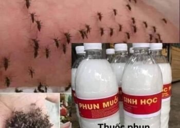 THUỐC PHUN MUỖI SINH HỌC CỦA BỆNH VIỆN
Ai ko tin thì pha vào nước lau nhà thử sẽ...