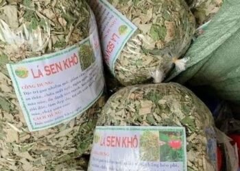 LÁ SEN KHÔ về hàng 
 Lh 0389.068.034
Tác dụng: 
- GIẢM BÉ0 
- Giảm mỡ nhiễm   m...