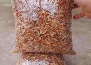 Cả nhà mỗi người ủng hộ mẹ em ít cân với ak .
 Tép đồng phơi khô 
 Giá rẻ bất ng...