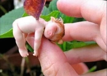 Đừng bỏ qua và bạn sẽ gặp được nhiều may mắn !!!