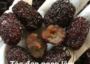 TÁO ĐENgiá rẻ bất ngờ
 Ăn táo đen đẹp da, ổn định đường huyết và huyết áp rất tố...