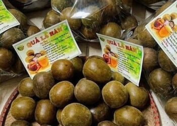 QUẢ LA HÁN KHÔ được gọi là THẦN DƯỢC , giúp đẩy lùi và ngừa đc bao nhiêu là bệnh...