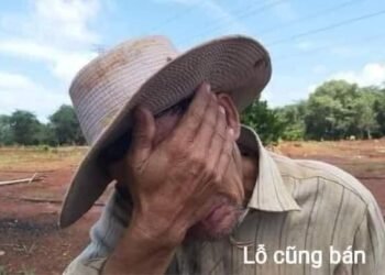 Cả nhà mỗi người ủng hộ bố em ít cân với ak .
 Tỏi cô đơn đã vào mùa.
 Giá rẻ bấ...