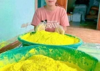 Nhà sẵn nghệ , mẹ em làm mẻ tinh bột nghệ nhưng nhiều quá dùng không hết.Em bán ...