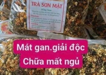 TRÀ SƠN MẬT HỒNG SÂM.

Là loại trà được trồng trên núi Hoàng Liên Sơn Sapa được ...