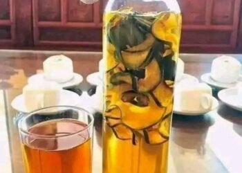 Cả nhà ủng hộ giúp ông bà e với ạ ,em về quê thấy bí đao năm nay được mùa mà rẻ ...