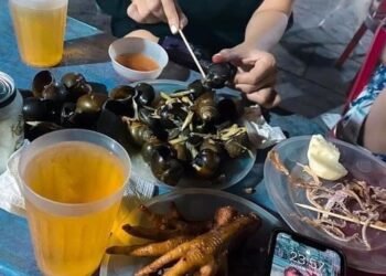 Xin địa chỉ quán ốc