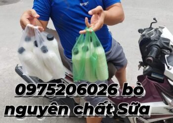 Xin chào cô chú a,c
 E có Sữa bò nguyên chất 0975206026 
 Chỉ 20k /500ml
 E free...
