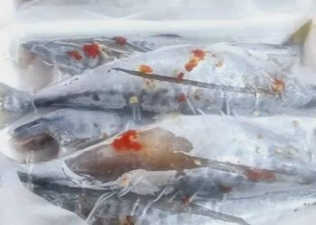 Cá Thu 1 nắng Size 8-10 con/kg (thứ 2 e có hàng nha)
#160k/kg (dong gói hút chân...