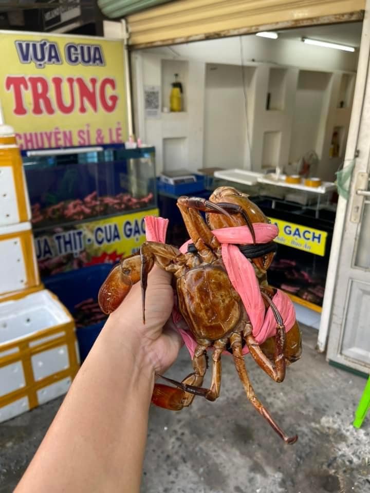 VỰA CUA TRUNG BÁN VÀ CHẾ BIẾN PHỤC VỤ KHÁCH HÀNG 24/24
CUA THỊT 5-6 CON 1KG/#19...