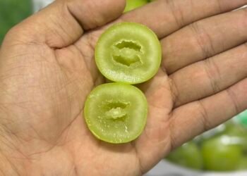 Mẫu đơn Hàn Quốc
 Thùng 2 chùm 2kg 950k
 Trái cứng ngọt thơm ạ 
 kho sỉ Thành Na...