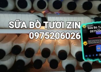 Xin chào cô chú a,c
 E có Sữa bò nguyên chất 0975206026 
 Chỉ 20k /500ml
 E free...