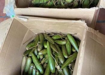 Mai có mắc sim
  Sét mắc sim chẩm chéo đầy đủ rau củ 
 90ka/set. Mắc sim ký 95ka...