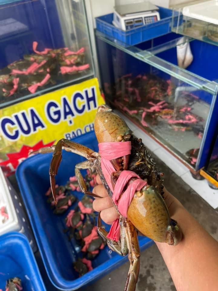 BẢNG GIÁ CUA ĐẦU TUẦN 11/12 BÊN EM
PHỤC VỤ 24/24
CUA THỊT 5 CON 1KG/#180k
CUA...