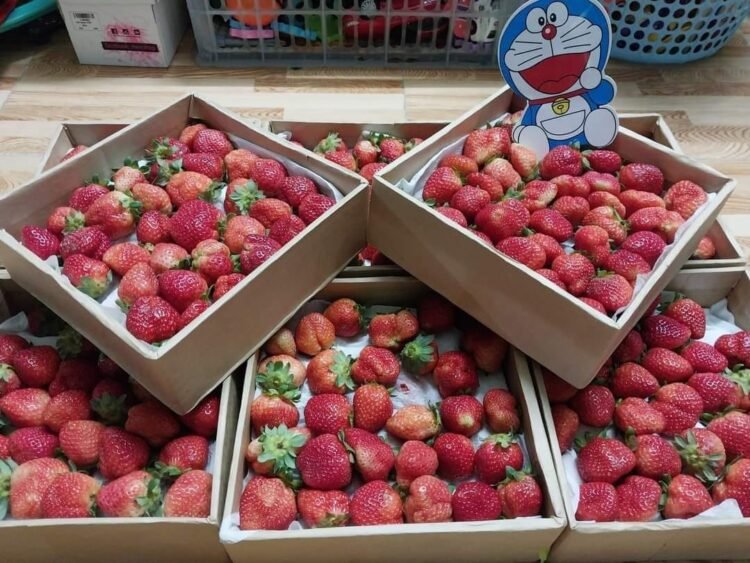 Cuối tuần vừa r e có việc bận nên ít đăng bài, nhưng dâu vẫn đi đều nha khách
...