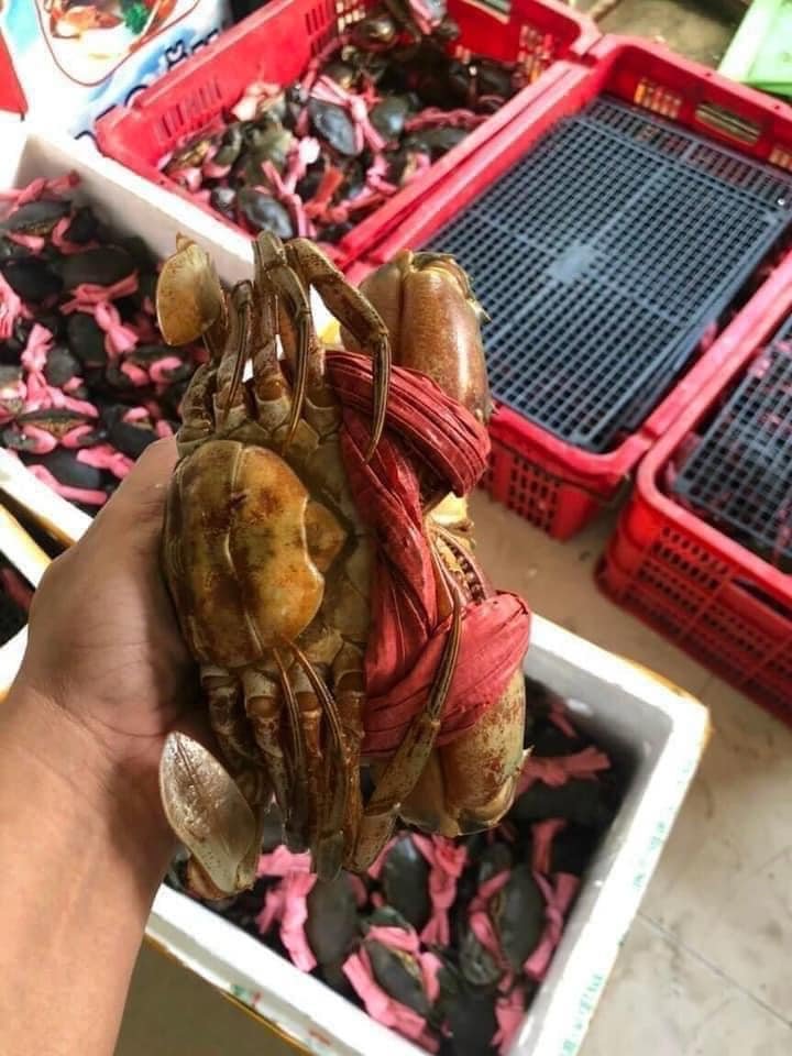 BÊN EM CÓ BÁN TẤT CẢ CÁC LOẠI CUA VÀ NHẬN CHẾ BIẾN CÁC MÓN CHO KHÁCH
PHỤC VỤ 24...