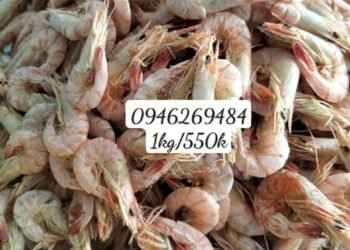 CHUYÊN SỈ _ KHÔNG QUA TRUNG GIAN_HÌNH CHÍNH CHỦ Ạ 
 LÀM QUÀ BIẾU _ BAO SANG_ BAO...