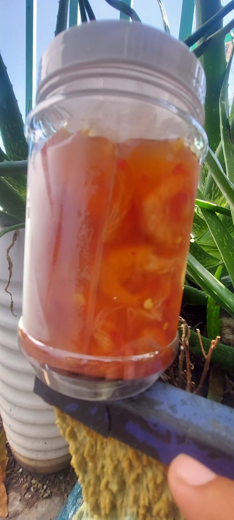 Em chào anh chị em trong hội ạ, chúc đầu tháng nhiều may mắn ạ.
 Em có bán mắm t...