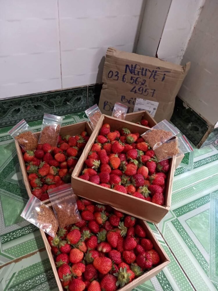 Ngày mai 15/12 e chốt đơn,  thứ 7 ngày 16/12 e có dâu về giao cho khách ạ. Mn ...