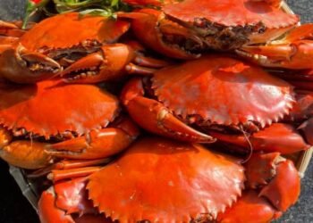 CUA HẤP-CUA CHẾ BIẾN CÁC MÓN  CUA THỊT 3 CON 1kg/#350k MIỂN PHÍ CHẾ BIẾN CHO KHÁ...