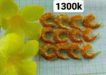 CHUYÊN SỈ _ KHÔNG QUA TRUNG GIAN_HÌNH CHÍNH CHỦ Ạ 
 LÀM QUÀ BIẾU _ BAO SANG_ BAO...