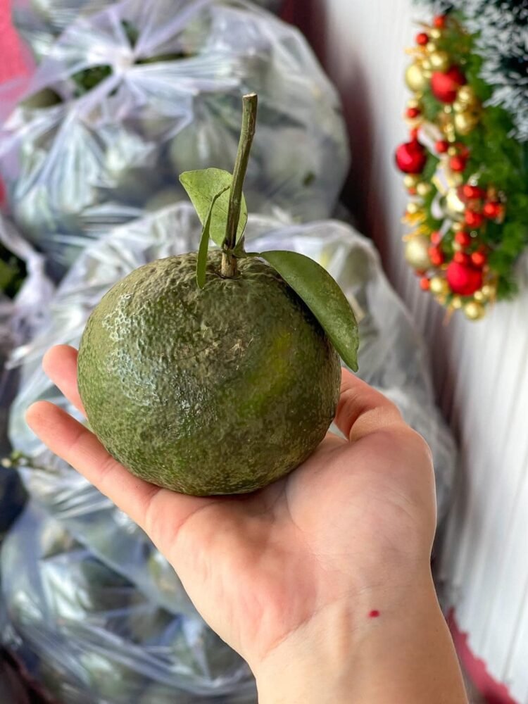 Cư dân S10.05
0392631134
Cùng Trà Sữa Bếp Nhà Gạo Homemade giải cứu Cam giúp bà ...