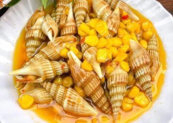 𝐃𝐮̛̀𝐚 - 𝐍𝐚 - 𝐇𝐮̛𝐨̛𝐧𝐠 - 𝐇𝐮𝐲𝐞̂́𝐭 - 𝐍𝐡𝐚̉𝐲
   CHUYÊN ỐC BIGSIZE -  Nói Lai Rai Với ...