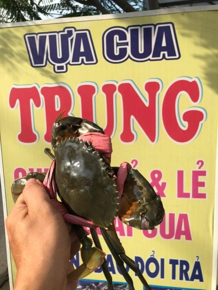 CUA-ỐC CHẾ BIẾN CÁC MÓN,GIÁ RẺ,CHẤT LƯỢNG,BAO ĂN TỪNG CON cua rang me 3-4 con 1k...