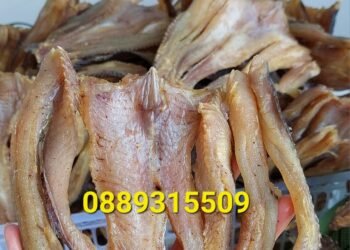 KHÔ C Á LÓC NHÀ LÀM 
 Chiên & nướng & trộn gỏi đều rất ngon
  1kg #280k ...