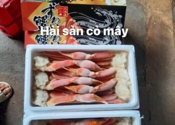 Chân cua tuyết 
 Thùng 2kg siêu sang 
 Làm quà tặng, biếu thì quá ư là vip luôn
...