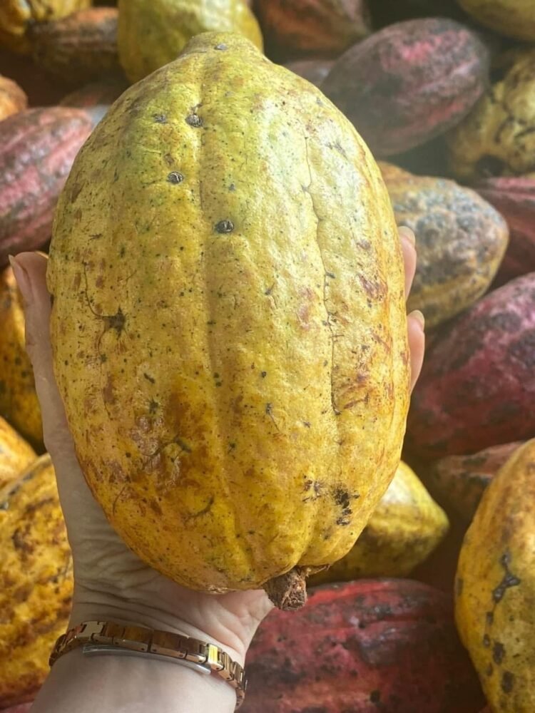 E có sỉ lẻ ai cần liên hệ e nha 0363121534