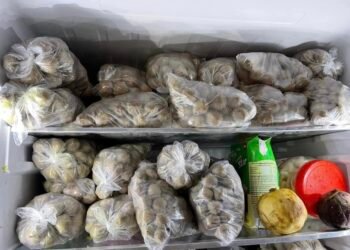 Nhà tui làm lái bò, dê
Chuyên thu mua chuồng, dê, bò…bán thịt bò, dê tươi
Gần tế...