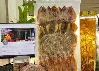 Chỉ 250k/set khô gồm : 
 • khô mực
 • cá chỉ
 • cá bò
 • cá mối
  Quà tết cho gi...