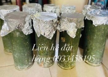 Tết đến rồi, bạn đã có kế hoạch ăn gì chưa? Hãy để Quán Gà Nướng chăm sóc và đả...