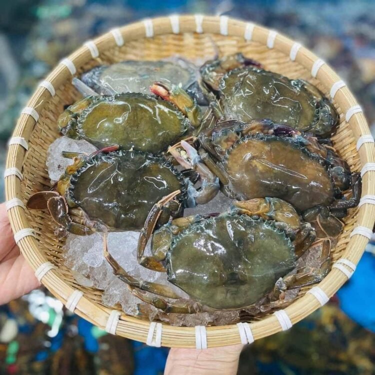 Cua lột mà chiêng bột là hết ý luôn
 Hàng đóng hộp 1kg siêu sang
 Sỉ Lẻ giá cực ...