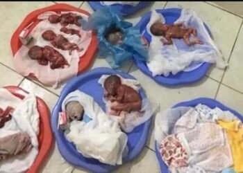 Chuyến Cuối Cùng Của Nhóm Và Thai Nhi Bị Bỏ Rơi 
(Ai không giúp được thì xin hãy...