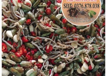 Mắm ghẹ
 Cà xỉu muối 
 Ba khía Sỉ & lẻ toàn quốc giá tận gốc  Miễn ship khu ...