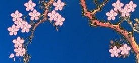 Hướng dẫn cách tạo hiệu ứng hoa đào rơi trên máy tính, cực đẹp