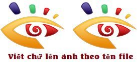 Tự động viết chữ lên hình ảnh hàng loạt theo tên file với XnView